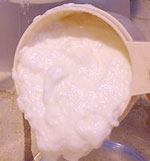 Yogurt e intolleranza al lattosio