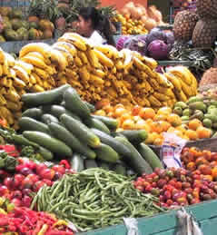 Agricoltura e alimentazione biologica