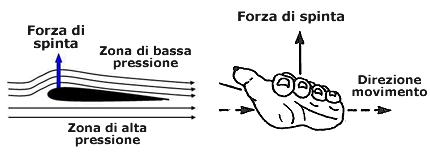 Galeggiamento