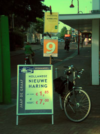 Rotterdam