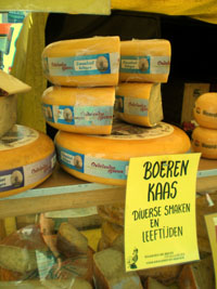 Rotterdam